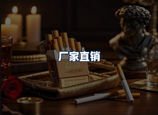 专业团队办公环境